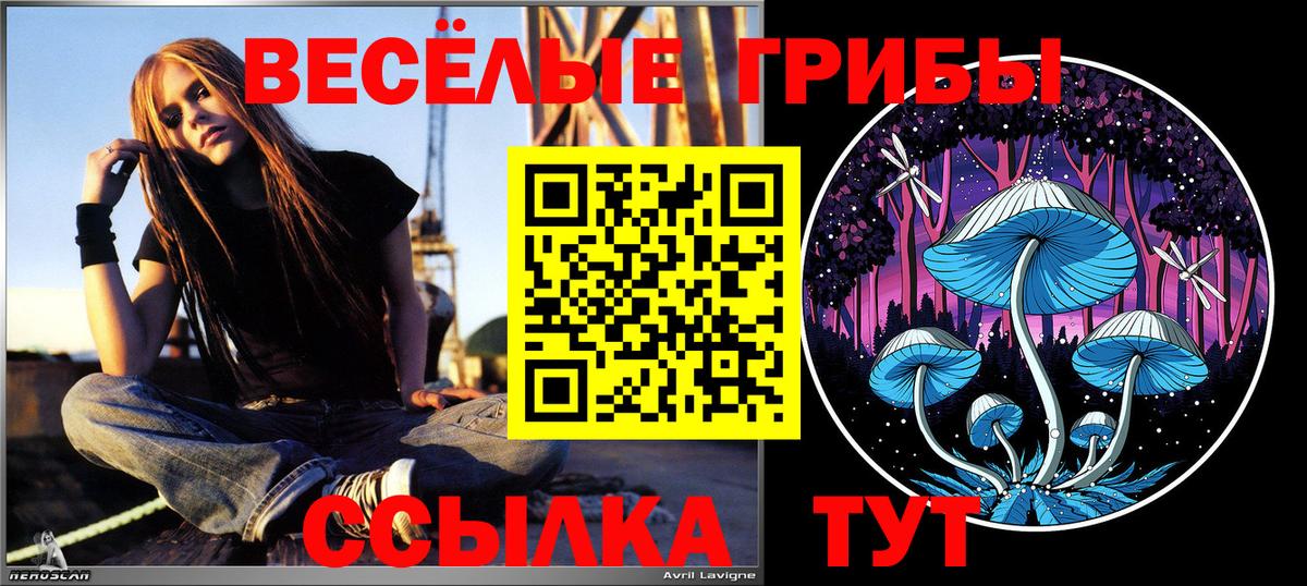 Среднеуральск  Псилоцибиновые грибы прущие грибы  сколько стоит  Вход с VPN 